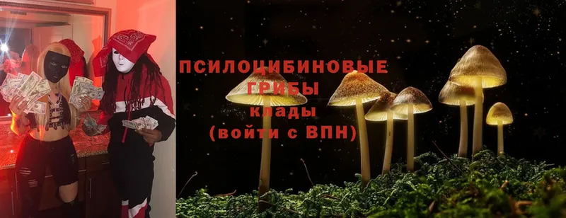 Псилоцибиновые грибы Magic Shrooms  Костерёво 